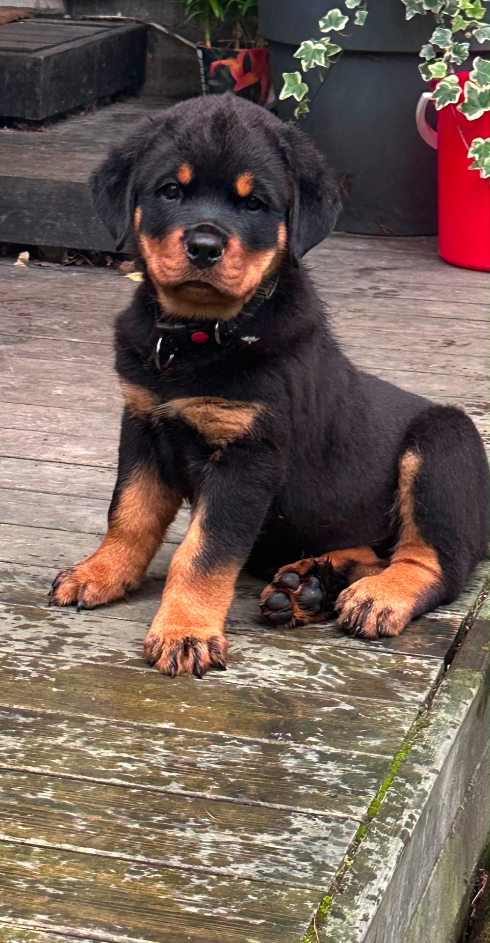 Otto 8 vkoa